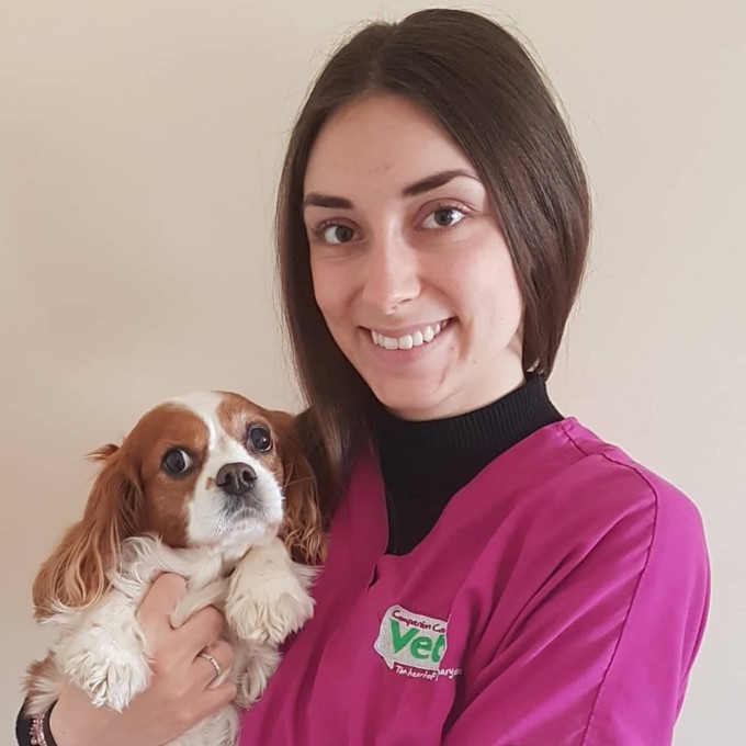 Vets in Bedford Companion Care