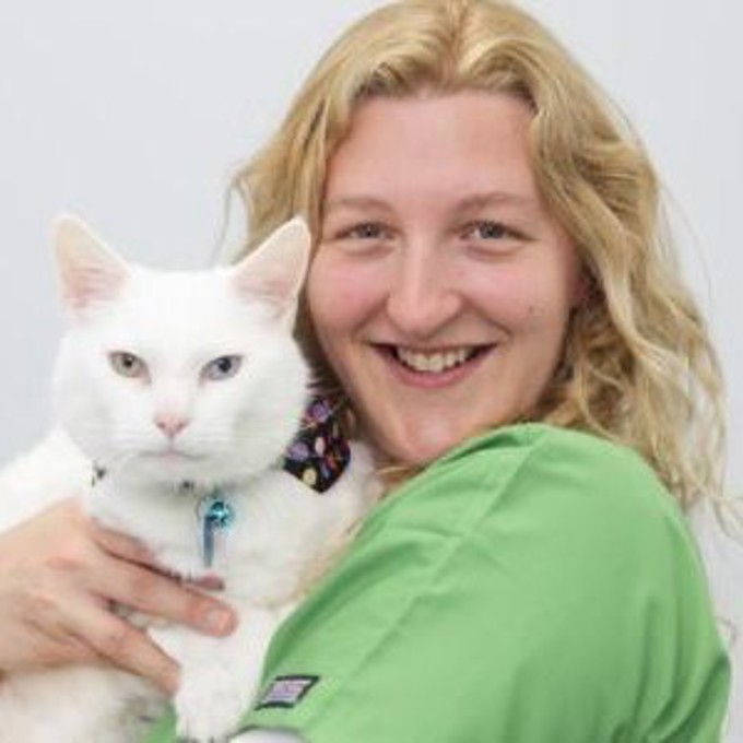 Vets in Bedford Companion Care