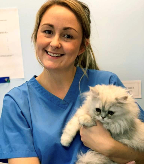 Vets in Prescot | Companion Care