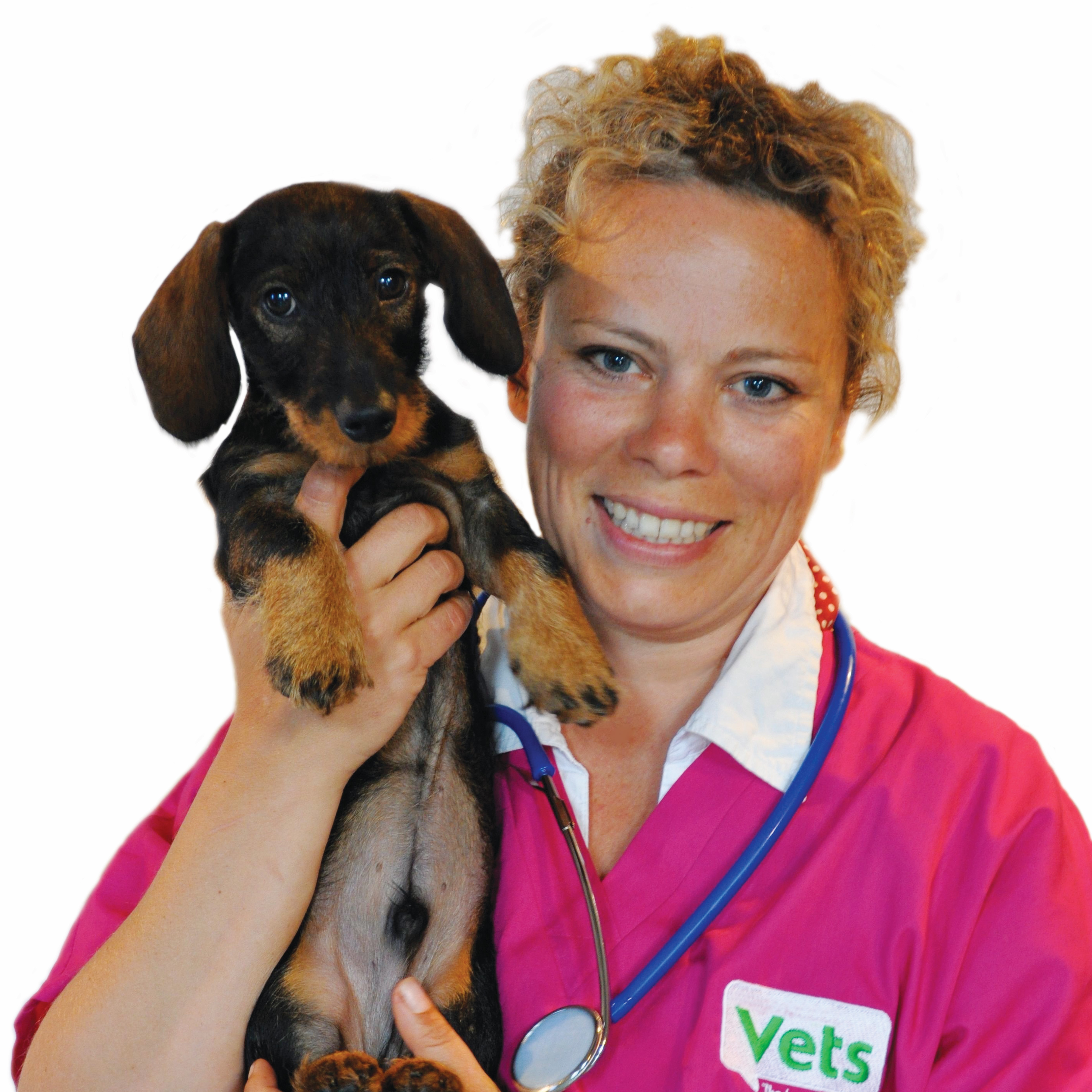 vets for pets opening times