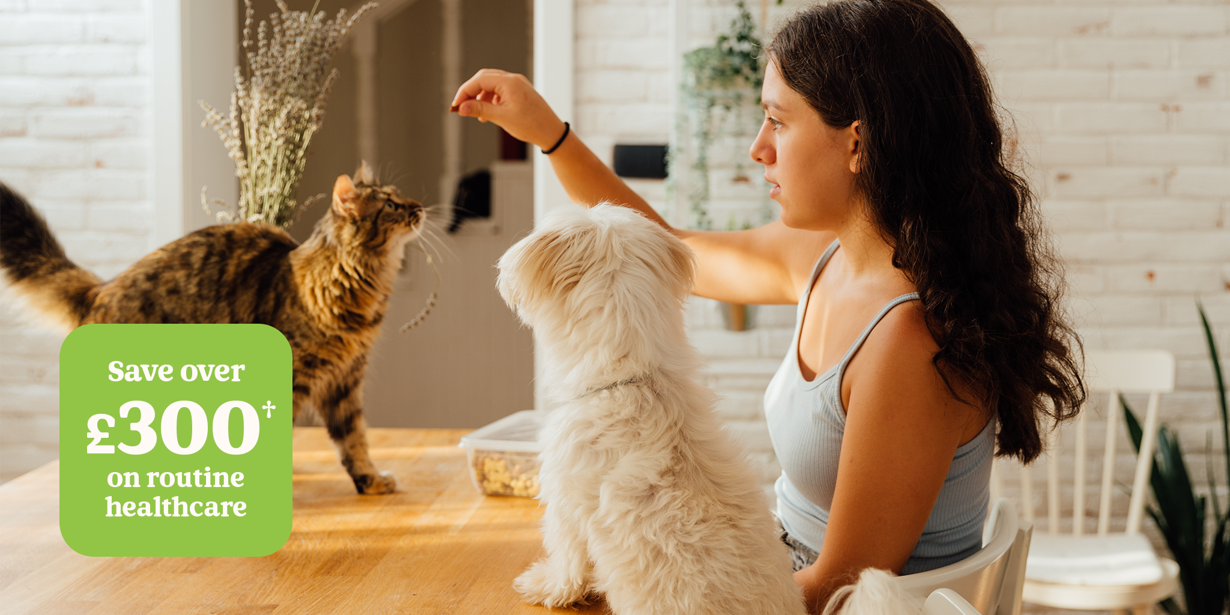 Complete Care Companion Care