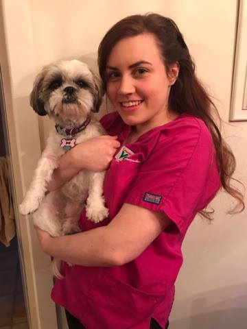 vets for pets cannock orbital