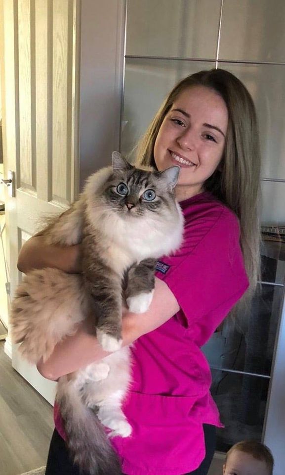 vets for pets cannock orbital