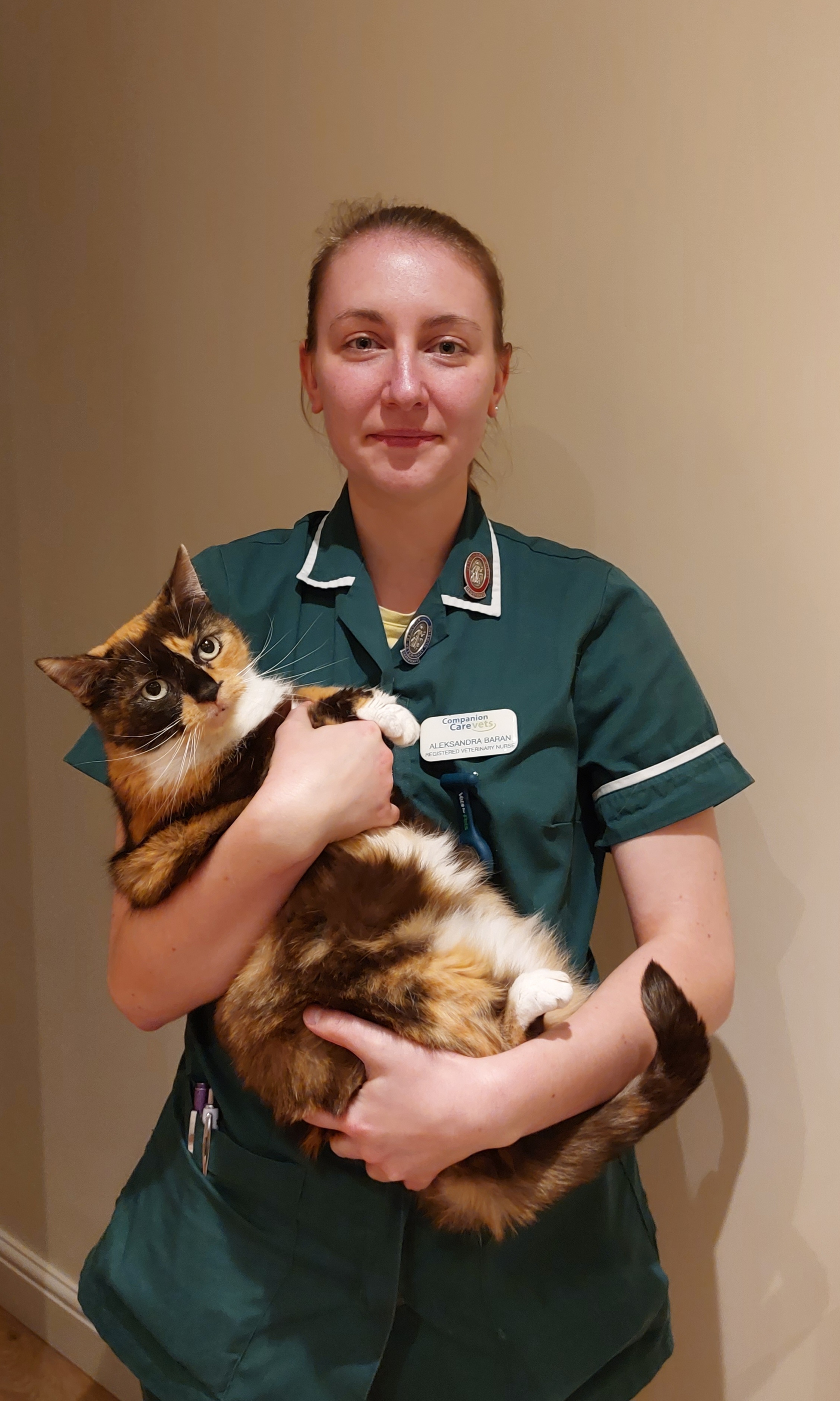 Vets for pets scarborough 2025