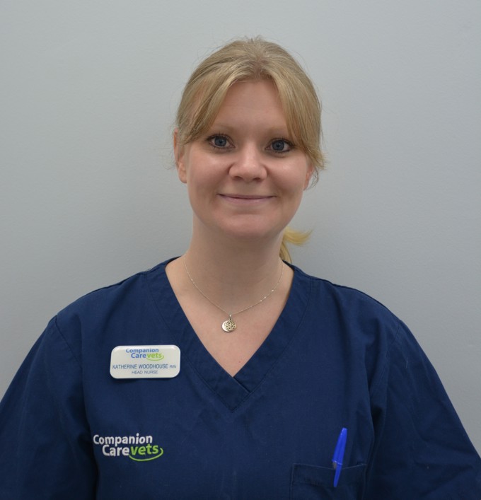 Vets in Fareham Collingwood Companion Care