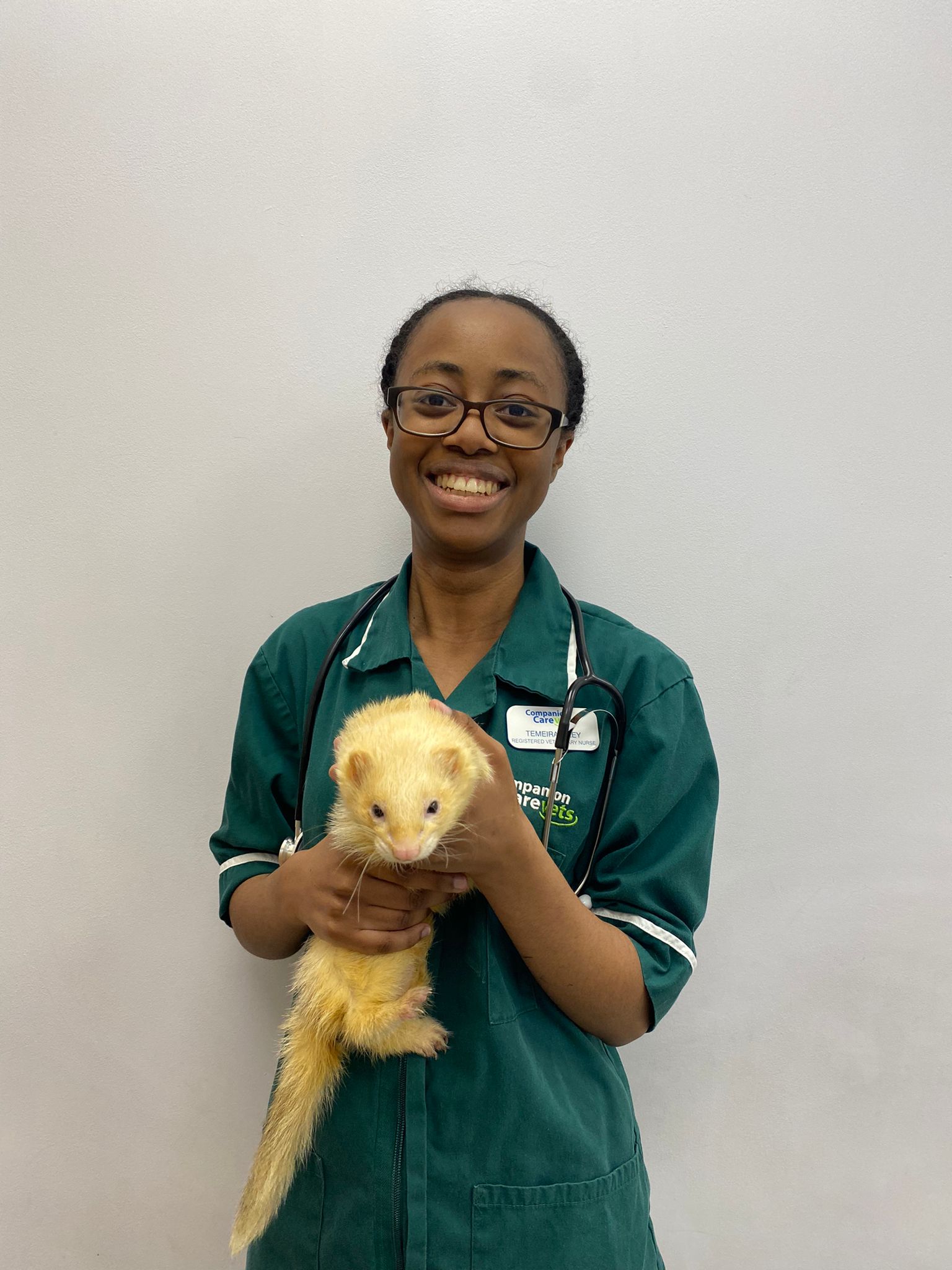 Vets in Croydon Companion Care