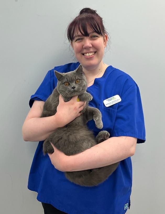 Pets at home waddon deals vets