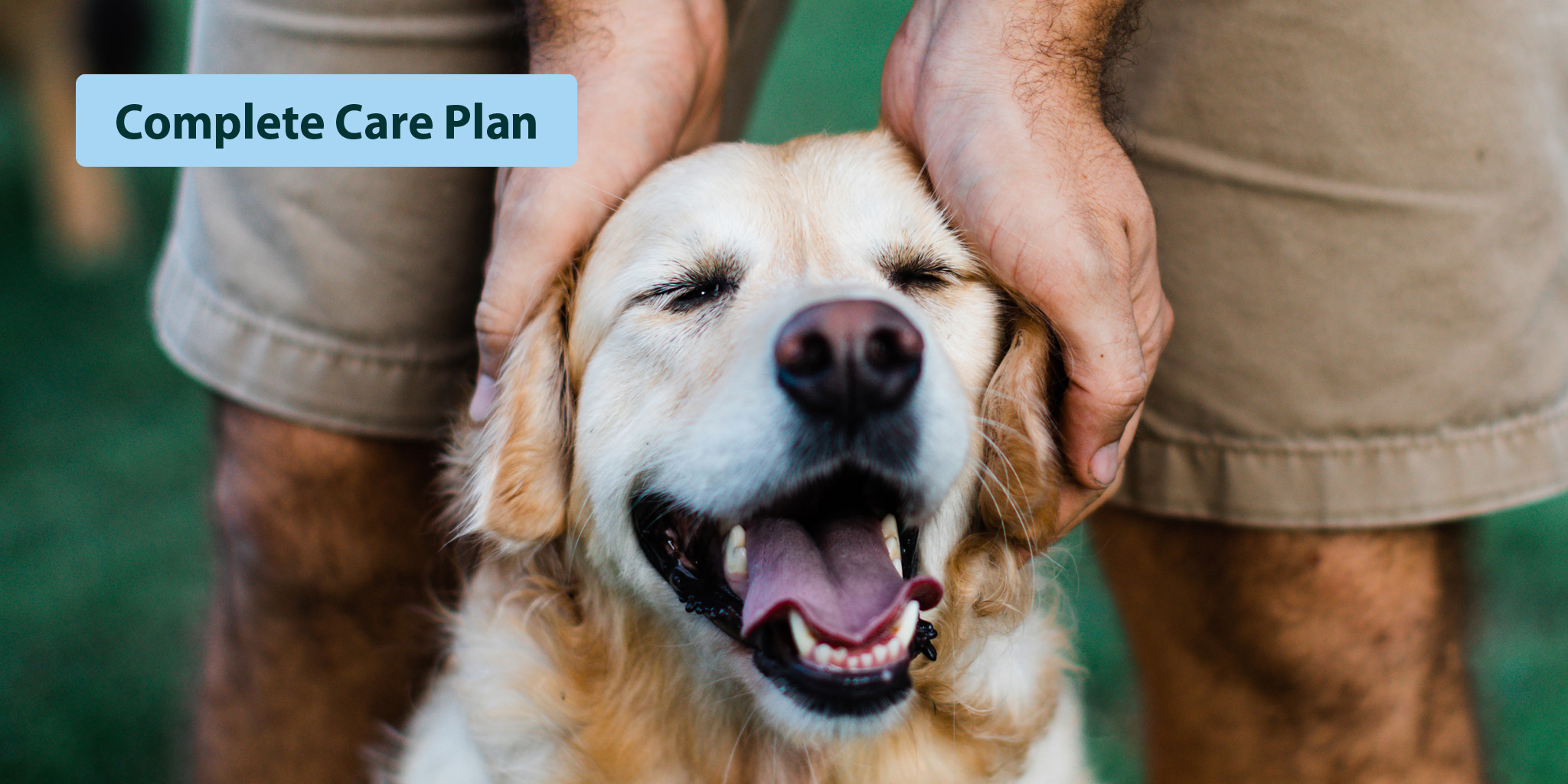 LAB_Stocksy_3165506_HERO BANNER_CARE PLAN