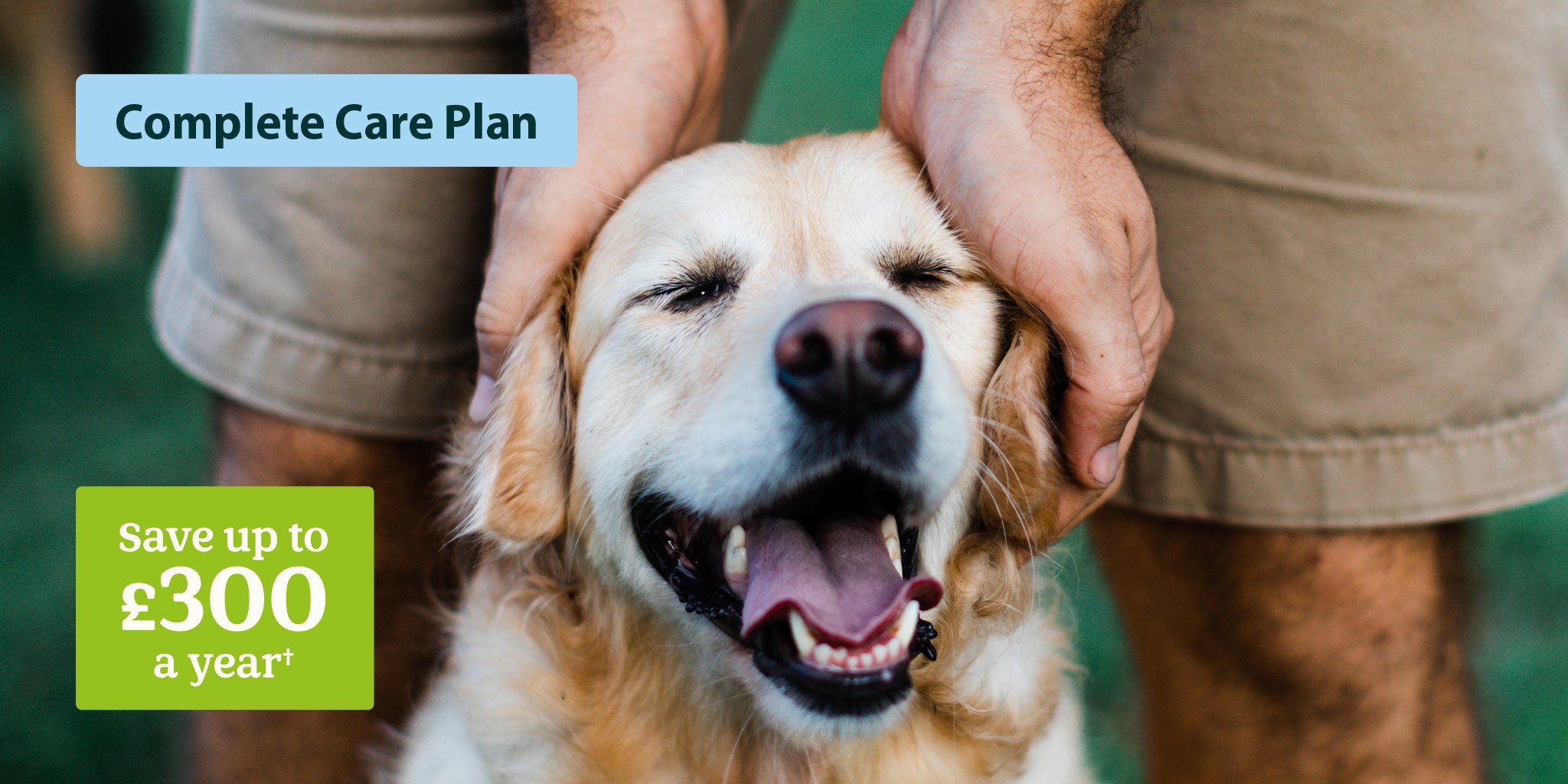 LAB_Stocksy_3165506_HERO BANNER_GREEN OVERLAY