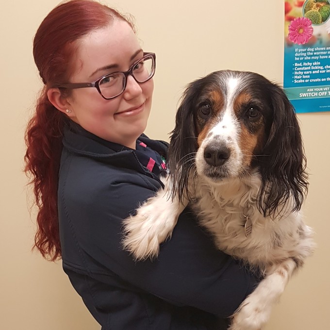 Vets in Oldbury Companion Care