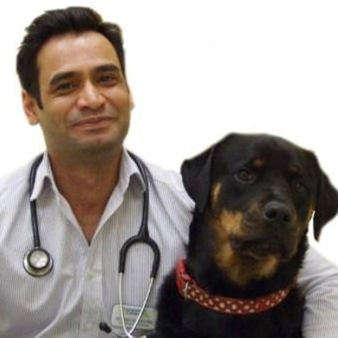 Vets in Oldbury Companion Care