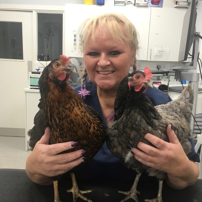 Vets in Salford Companion Care