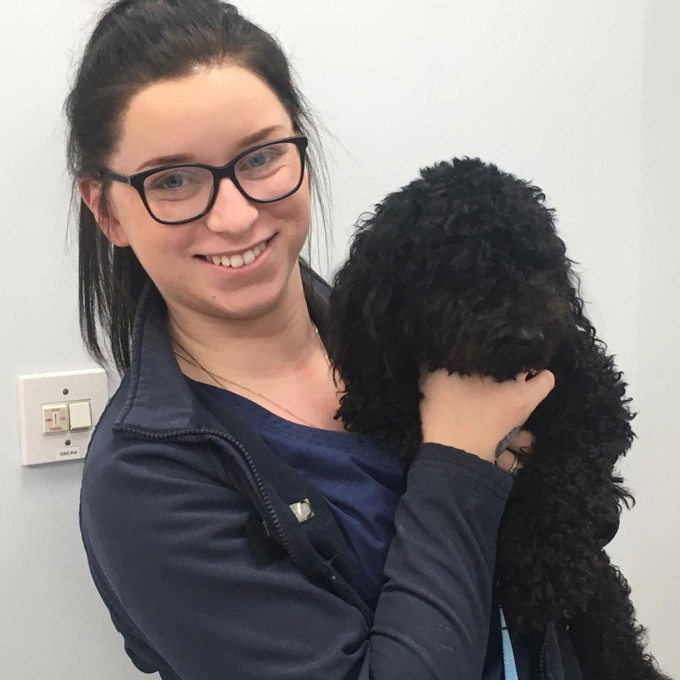 Vets in Tamworth Companion Care