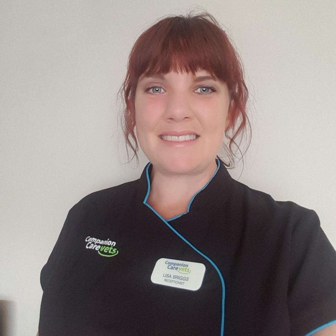 24. Lisa Briggs. Recep